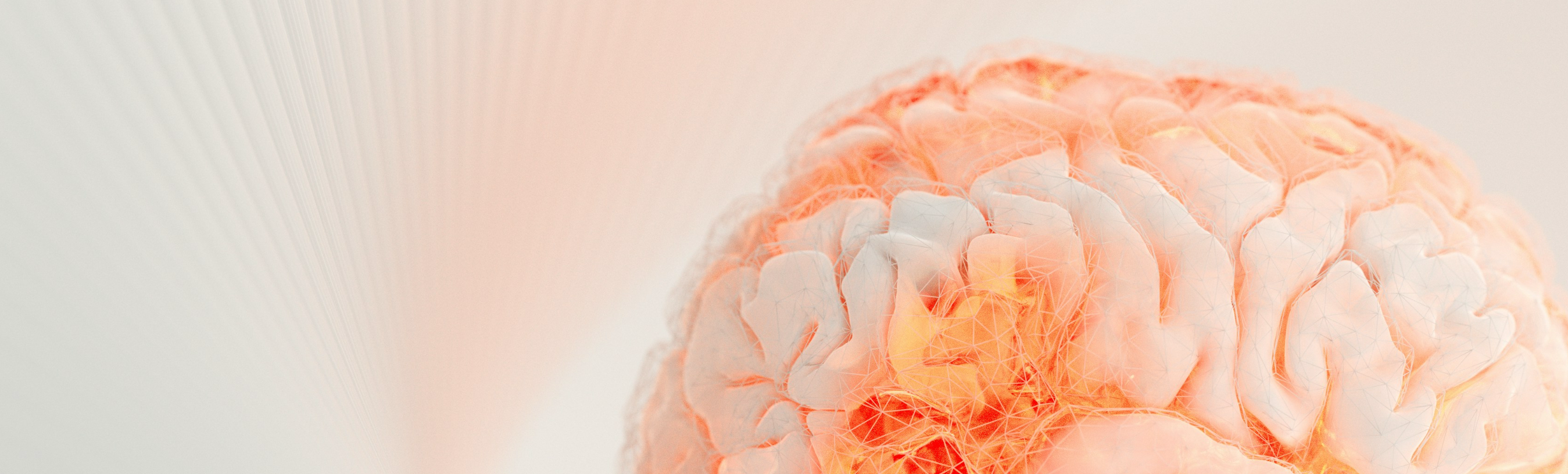 a brain